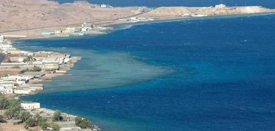 شواطئ البحر الأحمر: تنوع بيئي وثقافي غني