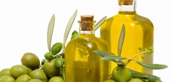 زيت الزيتون والصحة المعوية: دليل شامل
