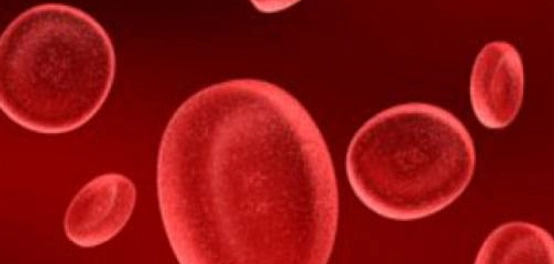 اضطرابات تخثر الدم: أنواعها، أسبابها، أعراضها، والعلاج