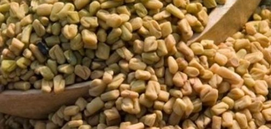 الحلبة وزيادة الوزن: دليل شامل