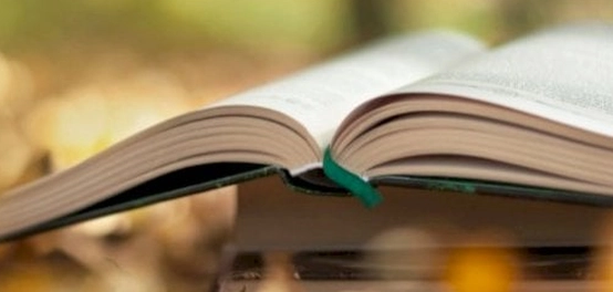 ثلاثية ذئاب: رحلة في أعماق الظلم والحب