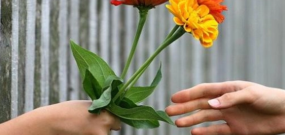 خواطر وأشعار عن فراق الحبيب