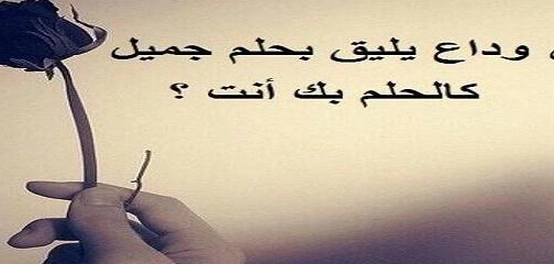 كلمات مؤثرة عن فراق الأحباب