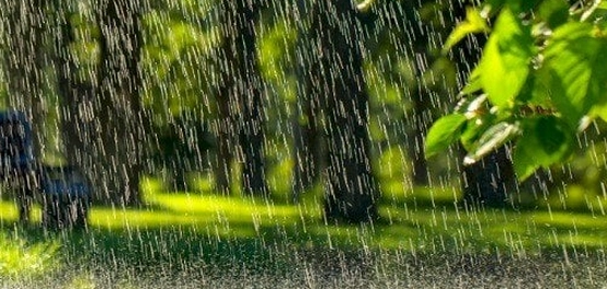 أجمل رسائل صباحية مع المطر
