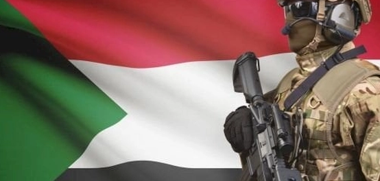 هيكل القوى الشرطية السودانية