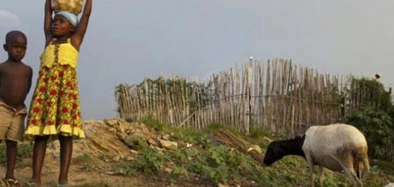 جمهورية جنوب السودان: نبذة عامة