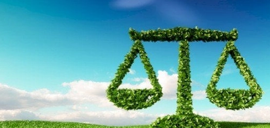حماية التوازن البيئي: دور الإنسان ومسؤولياته