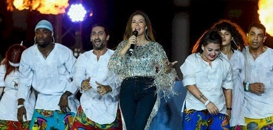 سيرة الفنانة دنيا سمير غانم