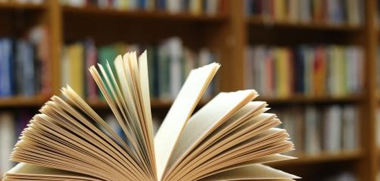 أساليب الاستفهام في الشعر العربي