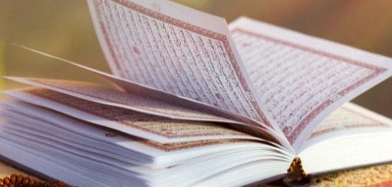 استعراض دقيق لأسماء الإشارة في القرآن الكريم