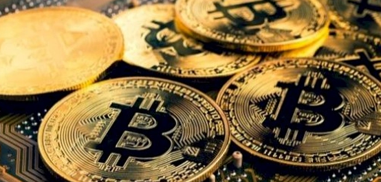 نظرة عامة على العملات الرقمية الرائدة