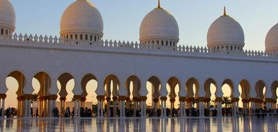 سلاطين الخلافة العباسية: تاريخهم وحكمهم