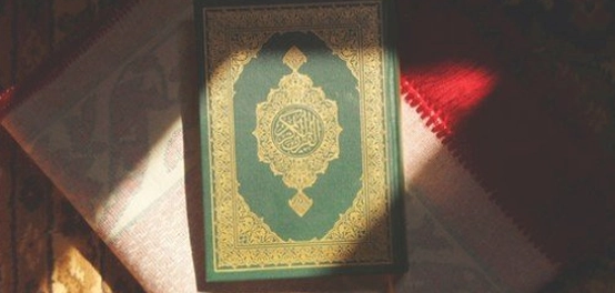 فنّ الإشادة واللوم في كتاب الله
