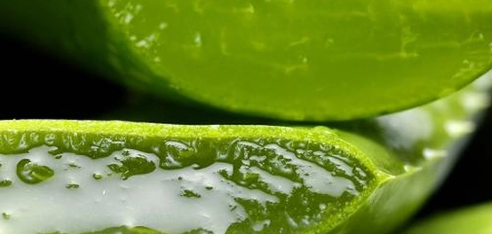 علاج فعال للخطوط البيضاء