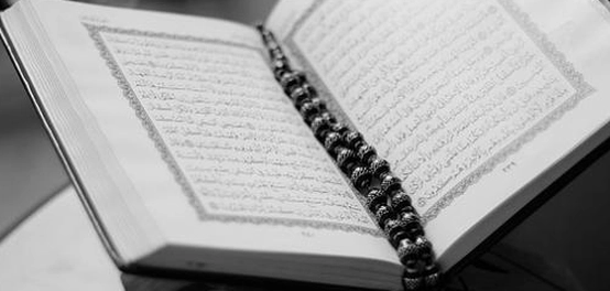 أسباب نزول سورة الحجرات: شرح تفصيلي