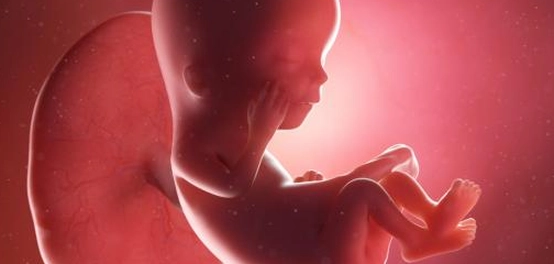 ضعف دقات قلب الجنين: الأسباب والعلاج