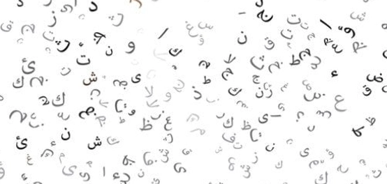 تراجع مستوى اللغة العربية: الأسباب والحلول