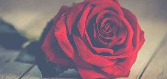 قصائد حب وشوق: أجمل ما قيل في الاشتياق
