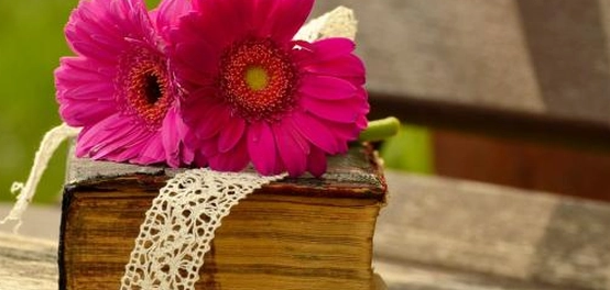 قصائد جميل بن معمر: رحلة في بحر الحب والعشق