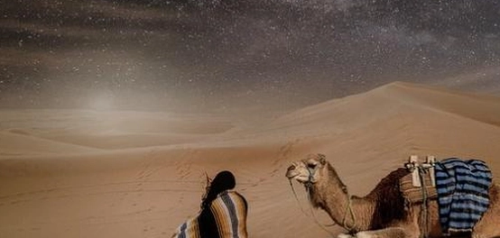 قصائد جميل بثينة الخالدة