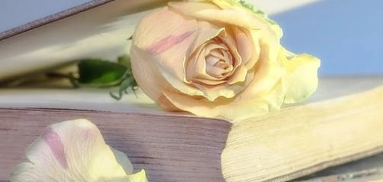 قصائد جرير الغزلية