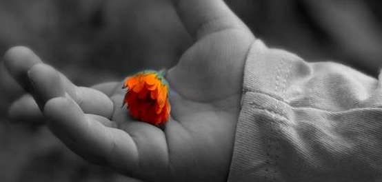 قصائد وداع وفراق مؤثرة