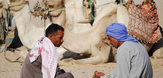خواطر شعرية في الحكمة العربية