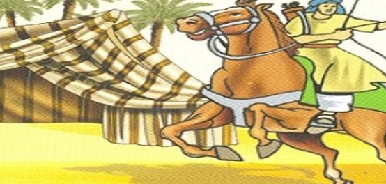 ديوان الشافعي: رحلة في بحر الشعر والفكر