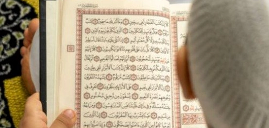 غرائب جنان الخلد: رحلة عبر أشجار الفردوس