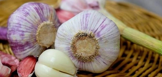 تقشير الثوم: طرق سهلة وسريعة
