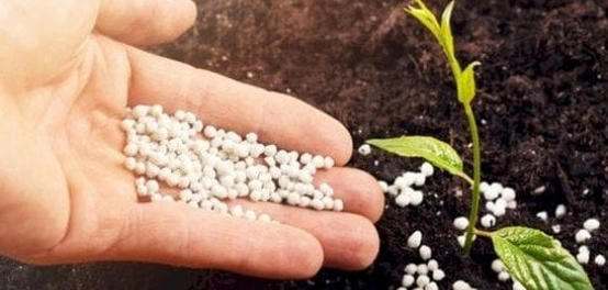 آثار الأسمدة الكيميائية السلبية على البيئة