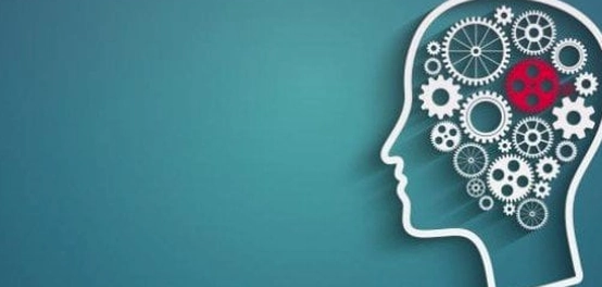 أسس علم النفس: دراسة العقل والسلوك