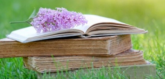 روائع كتب النحو العربية