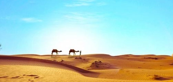 قصائد أحمد شوقي الوطنية عن مصر