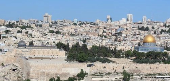 قصائد محمود درويش عن فلسطين