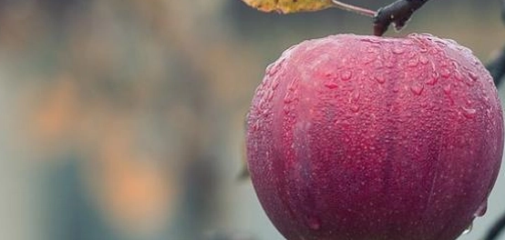 أطعمة وعلاجات طبيعية للإمساك