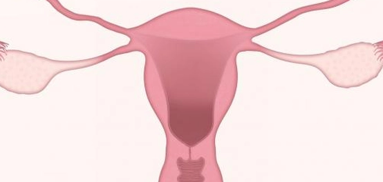 تدلي الرحم: الأعراض، المضاعفات، والعلاج