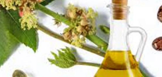 سلبيات وفوائد زيت الخروع للرموش