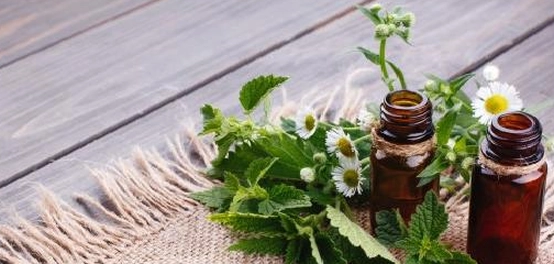 مخاطر استخدام الزيوت على فروة الرأس
