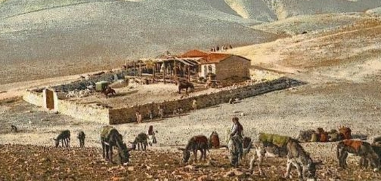 أريحا: أقدم مدينة مأهولة في فلسطين