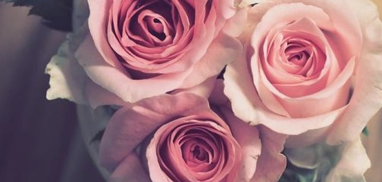 أفكار مميزة لهدايا عيد ميلاد الصديقة