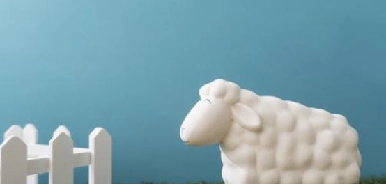 أفكار مميزة لإحياء عيد الأضحى المبارك