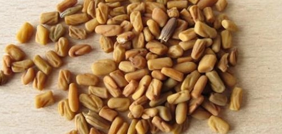 وصفات فعّالة لزيادة الوزن باستخدام الحلبة