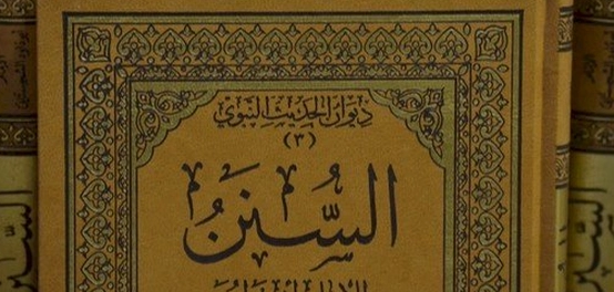 دراسة الحديث النبوي الشريف: منهجية الشرح وأفضل المصادر