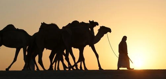أروع الحكم العربية