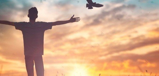 أروع الحكم العالمية