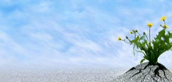 كنوز الصبر: حكم، أقوال، وآيات ملهمة