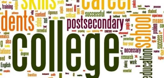 أفضل التخصصات في إدارة الأعمال