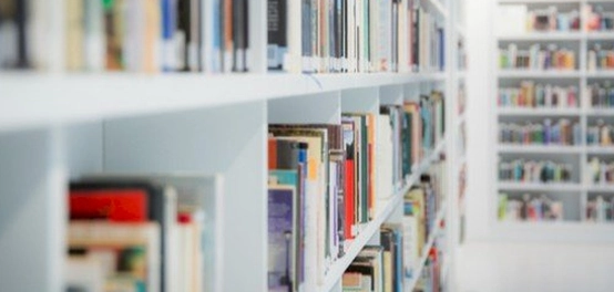 أقسام المكتبة ودورها: دليل شامل