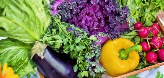 أفضل الخيارات النباتية لفقدان الوزن